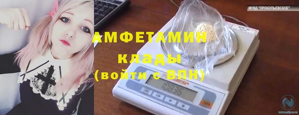ПСИЛОЦИБИНОВЫЕ ГРИБЫ Новодвинск