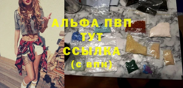 ПСИЛОЦИБИНОВЫЕ ГРИБЫ Новодвинск