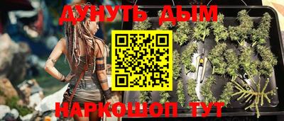 крисы Балаково