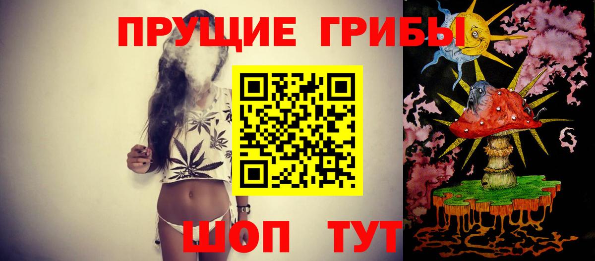Псилоцибиновые грибы Psilocybine cubensis Кунгур